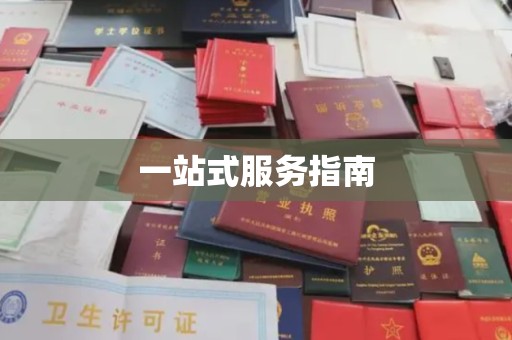 稻城一站式服务指南