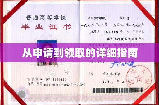 稻城从申请到领取的详细指南