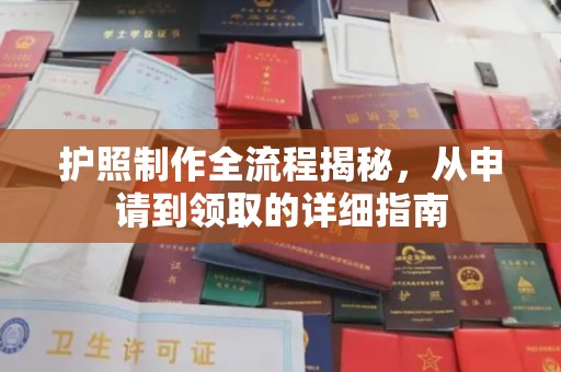 稻城护照制作全流程揭秘，从申请到领取的详细指南