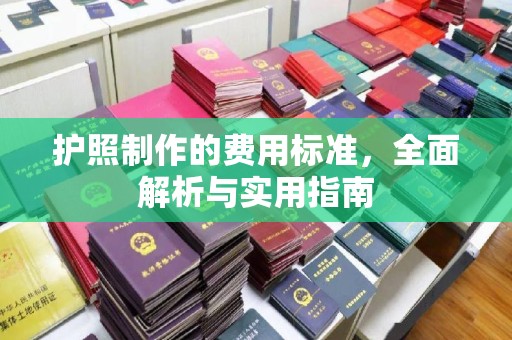 稻城护照制作的费用标准，全面解析与实用指南