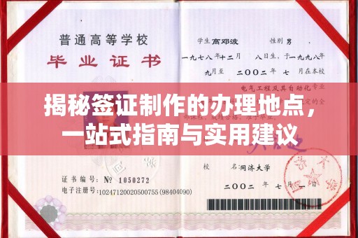稻城揭秘签证制作的办理地点，一站式指南与实用建议