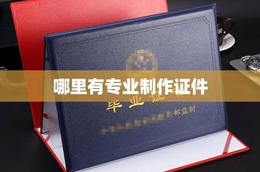稻城哪里有专业制作证件