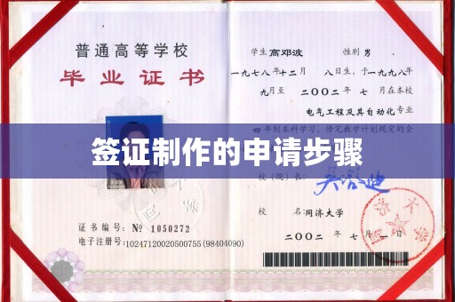 稻城签证制作的申请步骤