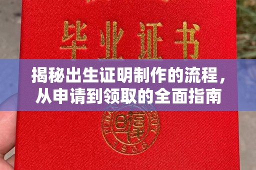 稻城揭秘出生证明制作的流程，从申请到领取的全面指南